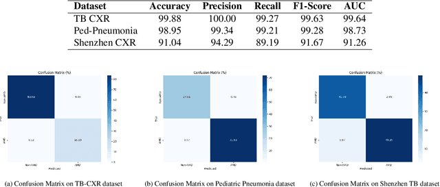 Figure 3 for RepViT-CXR: A Channel Replication Strategy for Vision Transformers in Chest X-ray Tuberculosis and Pneumonia Classification