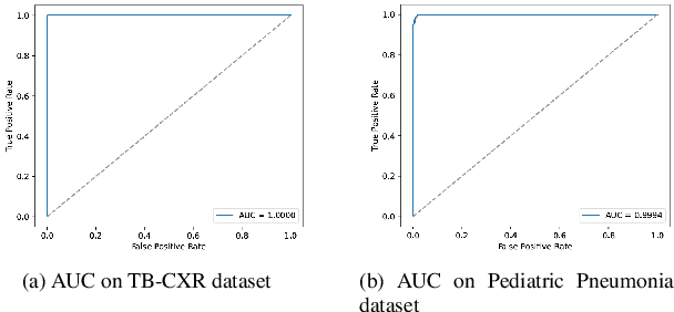 Figure 4 for RepViT-CXR: A Channel Replication Strategy for Vision Transformers in Chest X-ray Tuberculosis and Pneumonia Classification