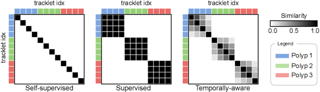 Figure 3 for Temporally-Aware Supervised Contrastive Learning for Polyp Counting in Colonoscopy
