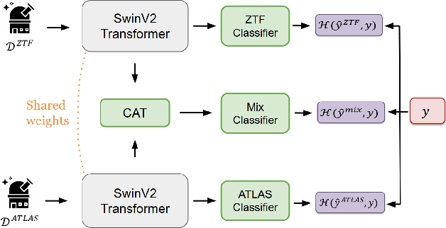 Figure 3 for Image-Based Multi-Survey Classification of Light Curves with a Pre-Trained Vision Transformer
