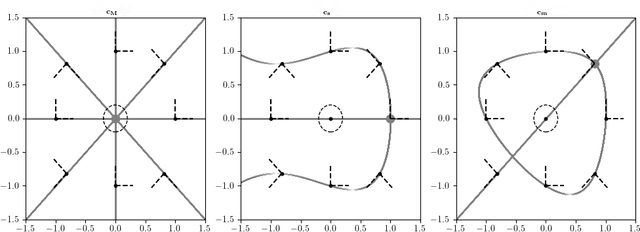 Figure 1 for Symmetry & Critical Points