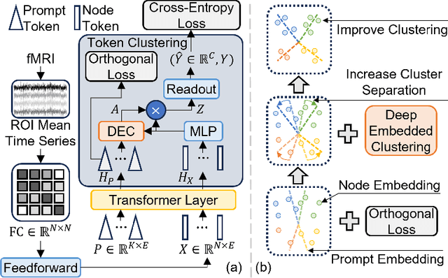 Figure 1 for Learnable Community-Aware Transformer for Brain Connectome Analysis with Token Clustering