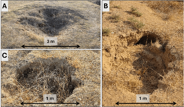 Figure 2 for SinkSAM: A Monocular Depth-Guided SAM Framework for Automatic Sinkhole Segmentation