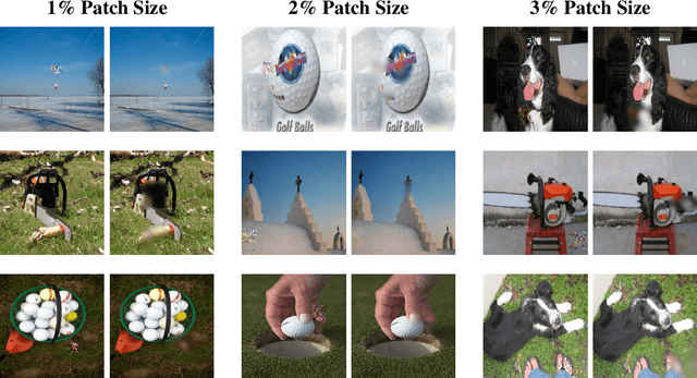Figure 1 for Concept-Based Masking: A Patch-Agnostic Defense Against Adversarial Patch Attacks