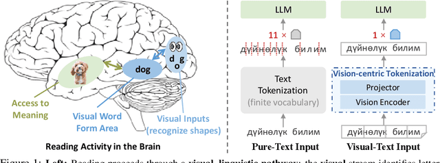 Figure 1 for See the Text: From Tokenization to Visual Reading