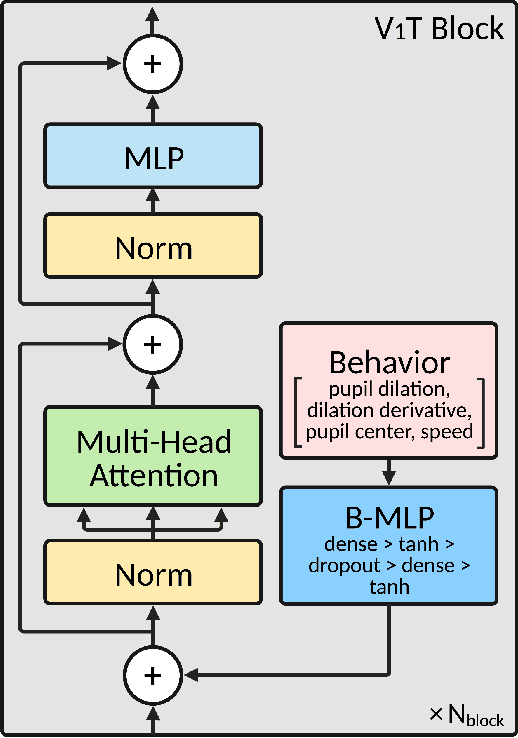 Figure 1 for V1T: large-scale mouse V1 response prediction using a Vision Transformer