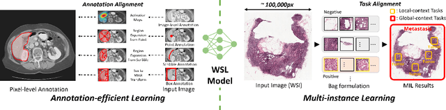 Figure 4 for Label-Efficient Deep Learning in Medical Image Analysis: Challenges and Future Directions