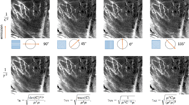 Figure 4 for The speckle contrast extended to the polarimetric case: applications to radar and Laser images
