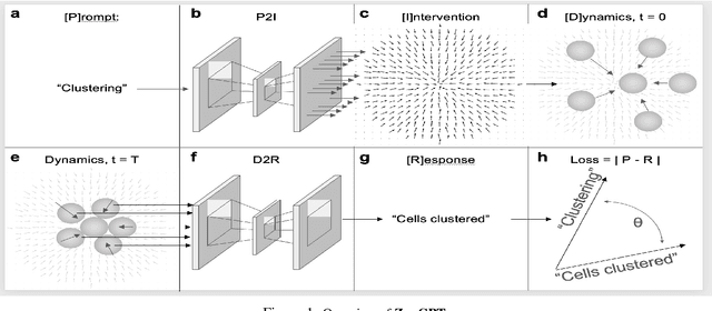 Figure 1 for Giving Simulated Cells a Voice: Evolving Prompt-to-Intervention Models for Cellular Control