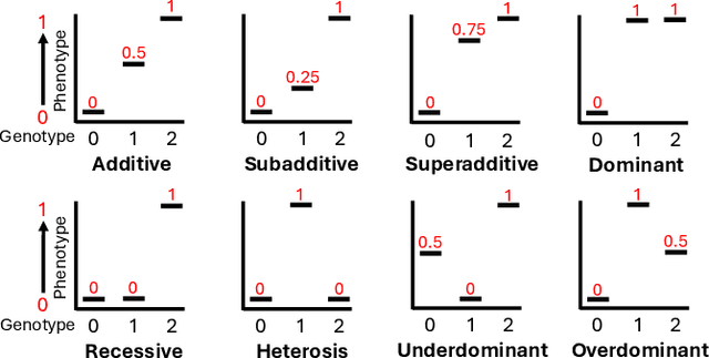 Figure 1 for StarBASE-GP: Biologically-Guided Automated Machine Learning for Genotype-to-Phenotype Association Analysis