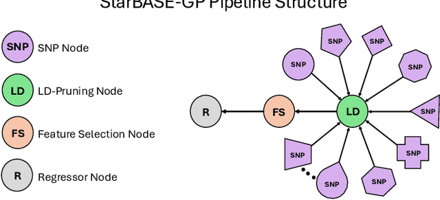 Figure 2 for StarBASE-GP: Biologically-Guided Automated Machine Learning for Genotype-to-Phenotype Association Analysis