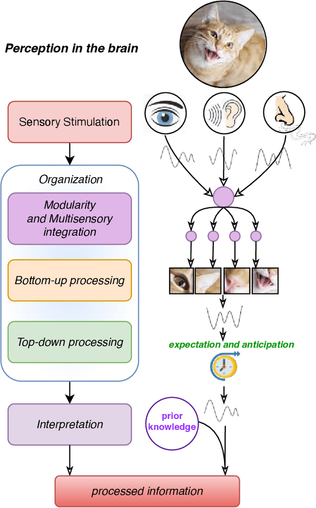 Figure 2 for Advancing Perception in Artificial Intelligence through Principles of Cognitive Science