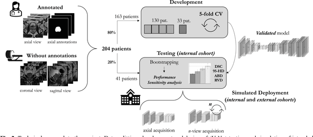 Figure 3 for Leveraging multi-view data without annotations for prostate MRI segmentation: A contrastive approach
