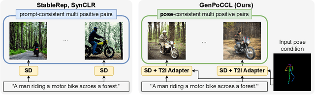 Figure 1 for Multi Positive Contrastive Learning with Pose-Consistent Generated Images