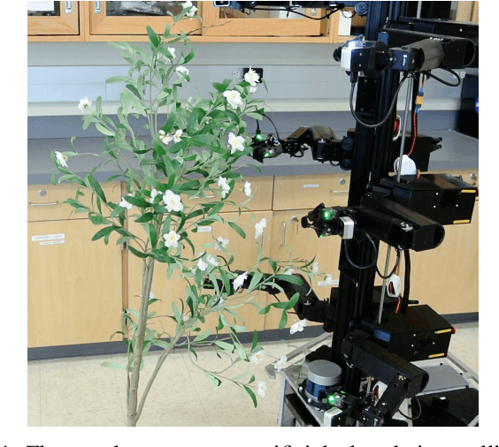 Figure 1 for Robust Flower Cluster Matching Using The Unscented Transform