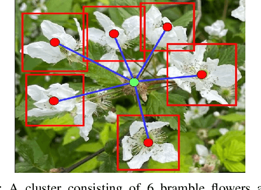 Figure 2 for Robust Flower Cluster Matching Using The Unscented Transform