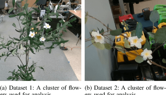 Figure 3 for Robust Flower Cluster Matching Using The Unscented Transform