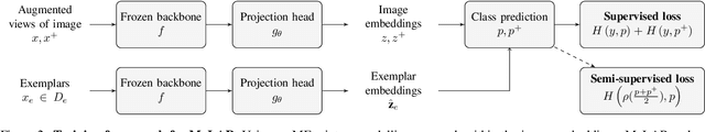 Figure 3 for Improved Prototypical Semi-Supervised Learning with Foundation Models: Prototype Selection, Parametric vMF-SNE Pretraining and Multi-view Pseudolabelling
