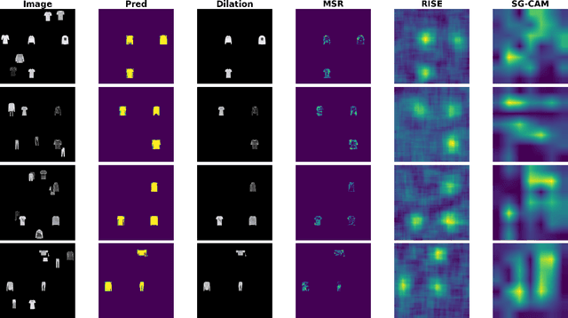 Figure 1 for MiSuRe is all you need to explain your image segmentation