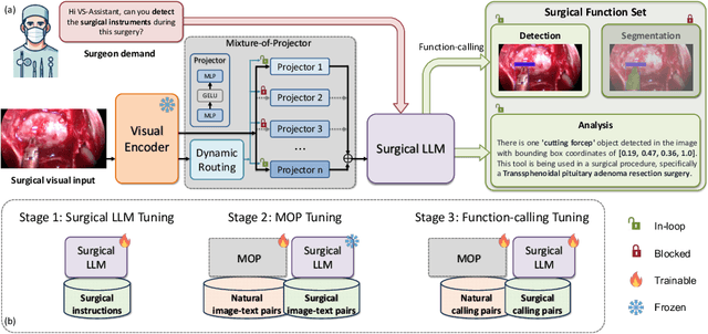 Figure 1 for VS-Assistant: Versatile Surgery Assistant on the Demand of Surgeons
