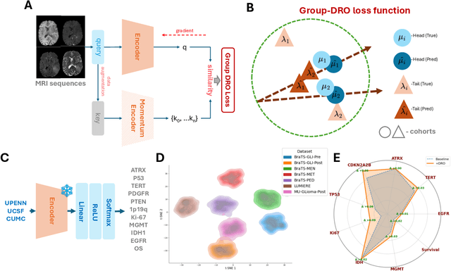 Figure 2 for NeuroRAD-FM: A Foundation Model for Neuro-Oncology with Distributionally Robust Training