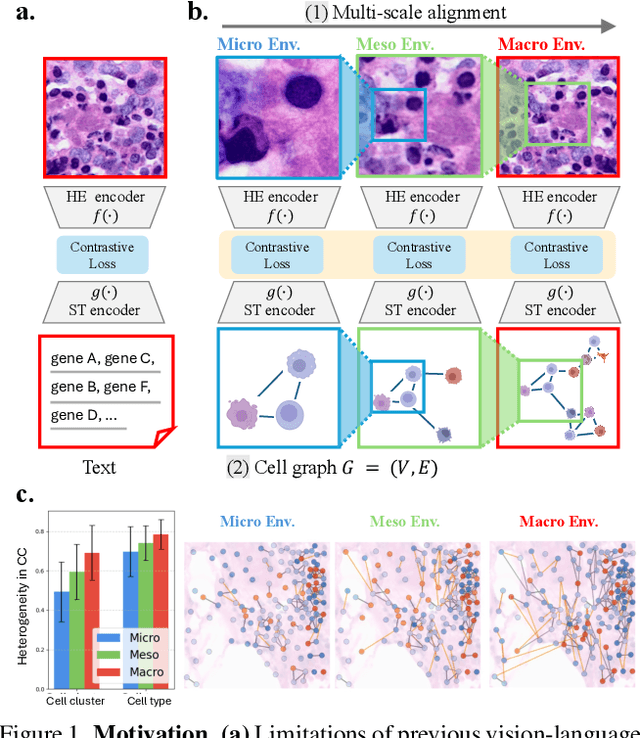 Figure 1 for SIGMMA: Hierarchical Graph-Based Multi-Scale Multi-modal Contrastive Alignment of Histopathology Image and Spatial Transcriptome