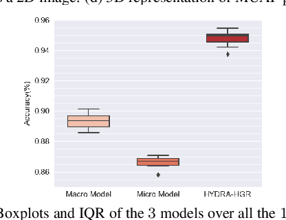 Figure 3 for HYDRA-HGR: A Hybrid Transformer-based Architecture for Fusion of Macroscopic and Microscopic Neural Drive Information