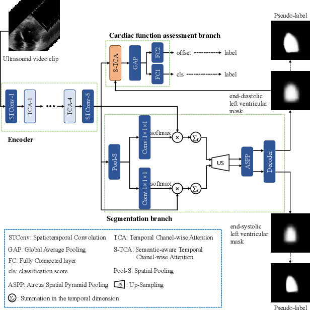 Figure 1 for Semantic-aware Temporal Channel-wise Attention for Cardiac Function Assessment