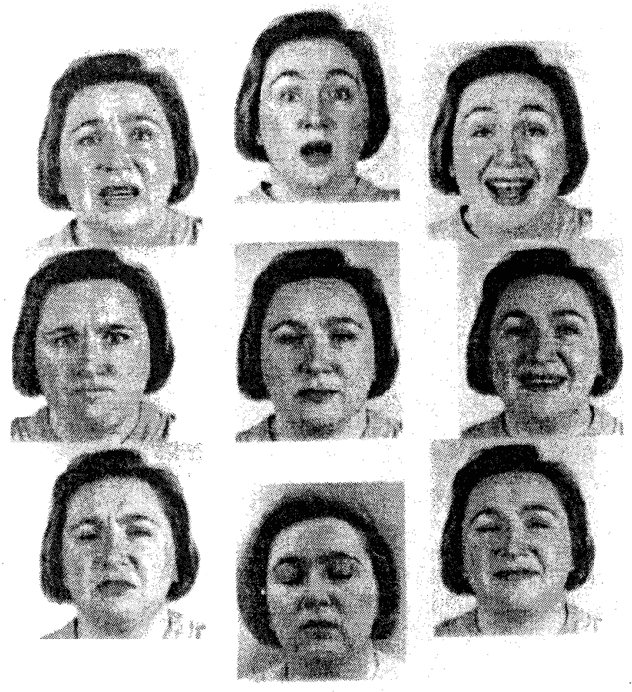 Figure 2 for Challenges and opportunities in portraying emotion in generated sign language