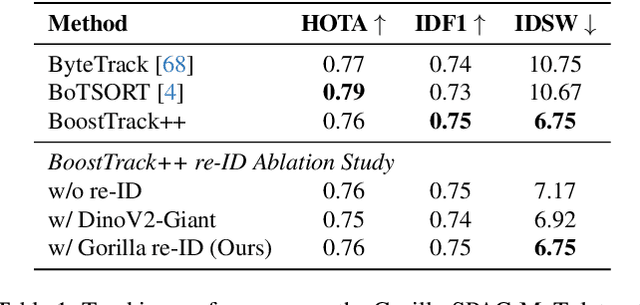 Figure 2 for GorillaWatch: An Automated System for In-the-Wild Gorilla Re-Identification and Population Monitoring