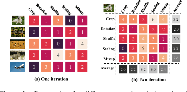 Figure 2 for Learning to Transform Dynamically for Better Adversarial Transferability