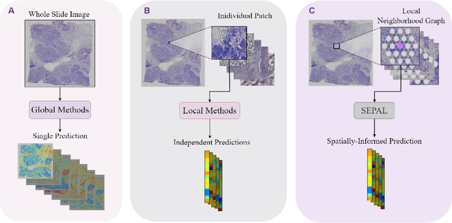 Figure 1 for SEPAL: Spatial Gene Expression Prediction from Local Graphs