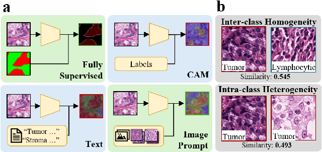 Figure 1 for Prototype-Based Image Prompting for Weakly Supervised Histopathological Image Segmentation