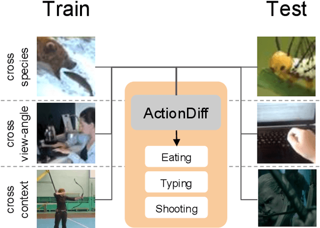 Figure 1 for Diffusion-Based Action Recognition Generalizes to Untrained Domains