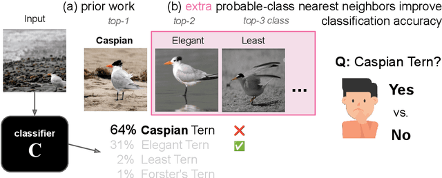 Figure 1 for AdvisingNets: Learning to Distinguish Correct and Wrong Classifications via Nearest-Neighbor Explanations