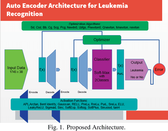 Figure 1 for Automating Leukemia Diagnosis with Autoencoders: A Comparative Study
