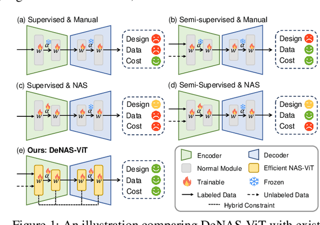 Figure 1 for HCS-TNAS: Hybrid Constraint-driven Semi-supervised Transformer-NAS for Ultrasound Image Segmentation