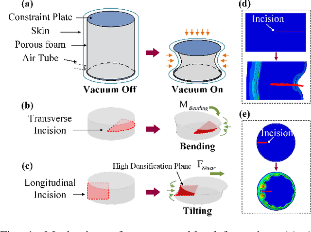 Figure 1 for Programmable Deformation Design of Porous Soft Actuator through Volumetric-Pattern-Induced Anisotropy