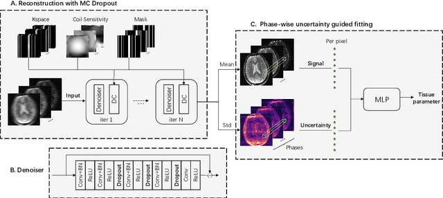Figure 3 for Guiding Quantitative MRI Reconstruction with Phase-wise Uncertainty