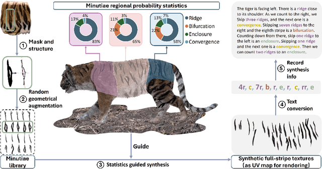 Figure 2 for Visual-textual Dermatoglyphic Animal Biometrics: A First Case Study on Panthera tigris