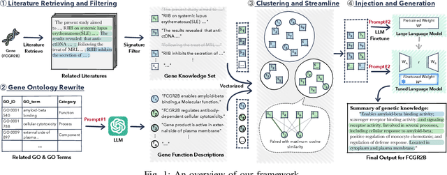 Figure 1 for GeneSUM: Large Language Model-based Gene Summary Extraction