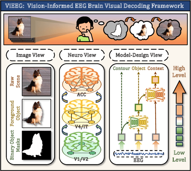 Figure 1 for ViEEG: Hierarchical Neural Coding with Cross-Modal Progressive Enhancement for EEG-Based Visual Decoding