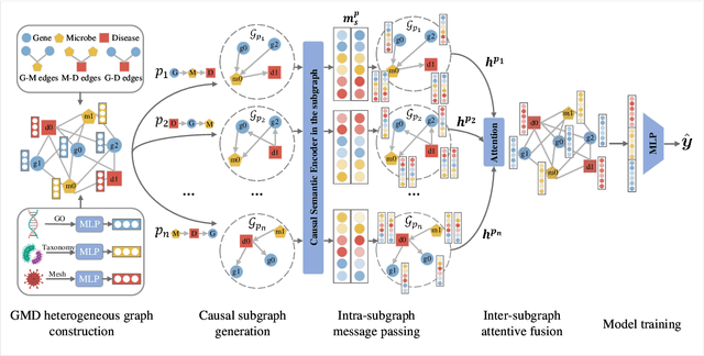 Figure 1 for Heterogeneous Causal Metapath Graph Neural Network for Gene-Microbe-Disease Association Prediction