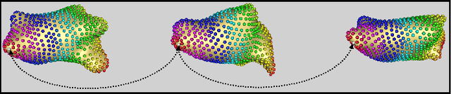 Figure 1 for Mesh2SSM++: A Probabilistic Framework for Unsupervised Learning of Statistical Shape Model of Anatomies from Surface Meshes
