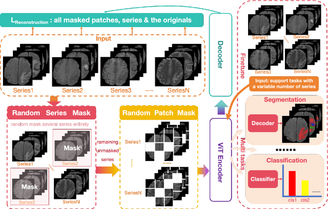 Figure 2 for Enhanced MRI Representation via Cross-series Masking