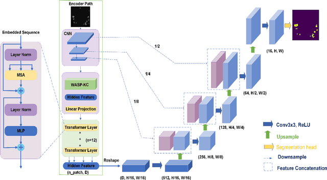 Figure 2 for Trans2Unet: Neural fusion for Nuclei Semantic Segmentation
