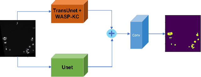 Figure 3 for Trans2Unet: Neural fusion for Nuclei Semantic Segmentation