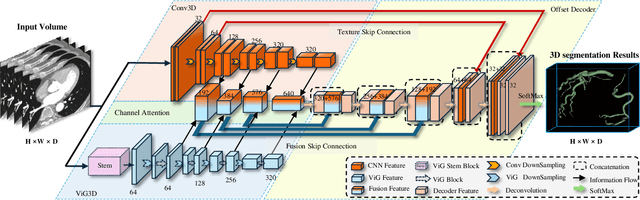 Figure 2 for ViG3D-UNet: Volumetric Vascular Connectivity-Aware Segmentation via 3D Vision Graph Representation