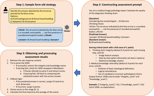Figure 3 for PathVLM-R1: A Reinforcement Learning-Driven Reasoning Model for Pathology Visual-Language Tasks