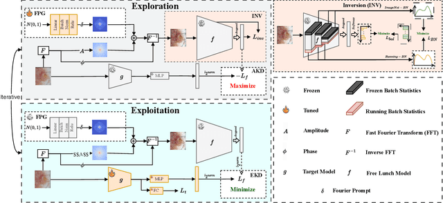 Figure 3 for FoPro-KD: Fourier Prompted Effective Knowledge Distillation for Long-Tailed Medical Image Recognition